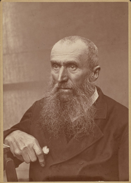 Portrait of a man with sideburns and a beard, 1880-1890. Creator: Paul Nadar.