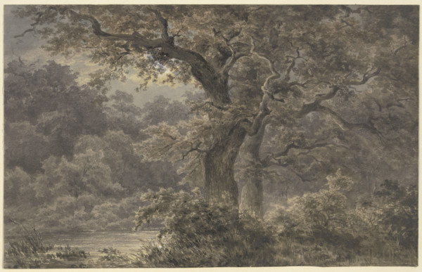 Oak trees in the forest, 19th century. Creator: Johann Wilhelm Schirmer.