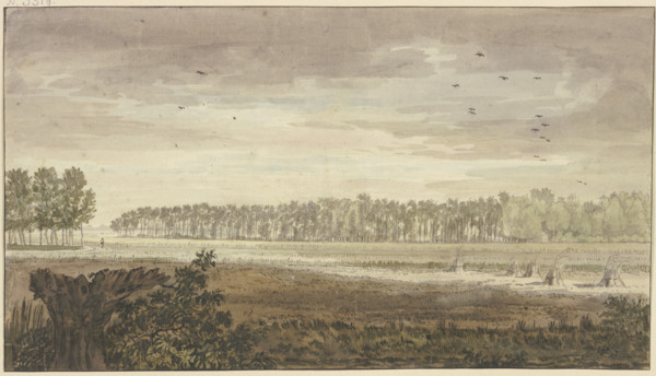 Landscape, a long grove in the background, fields with some sheaves of grain in..., 18th century. Creator: Jacobus van Liender.
