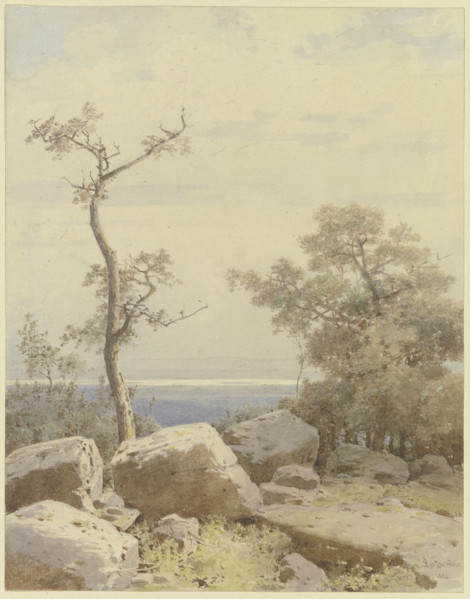 Bare tree among stone blocks, 1880. Creator: Carl Theodor Reiffenstein.