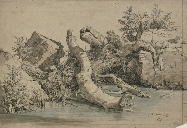 Fallen tree by a stream, 1856. Creator: Johann Heinrich Hasselhorst.