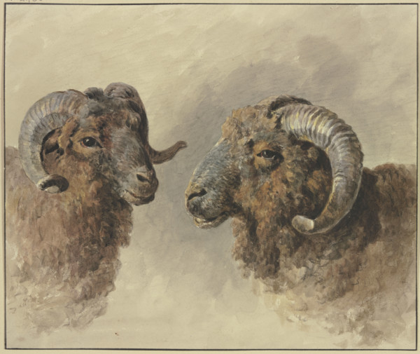 Two sheep, 18th century. Creator: Jacob van Strij.