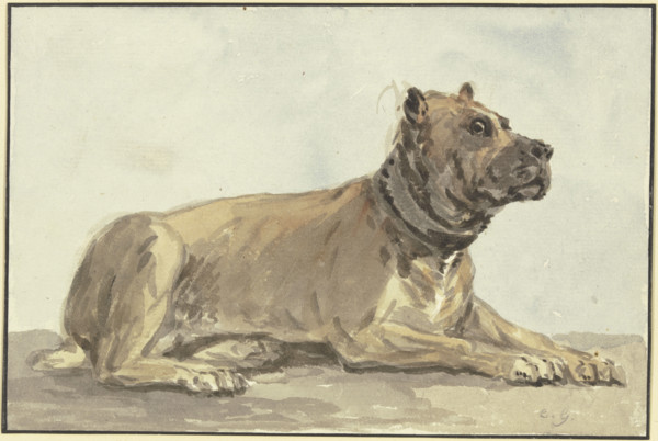 Reclining Great Dane, head raised, 18th century. Creator: Conrad Gesner.
