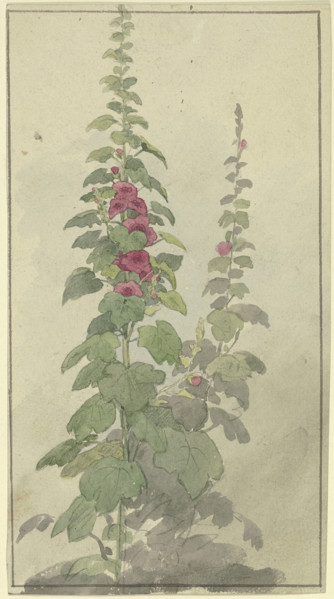 Rosellas, 19th century. Creator: Jakob Becker.