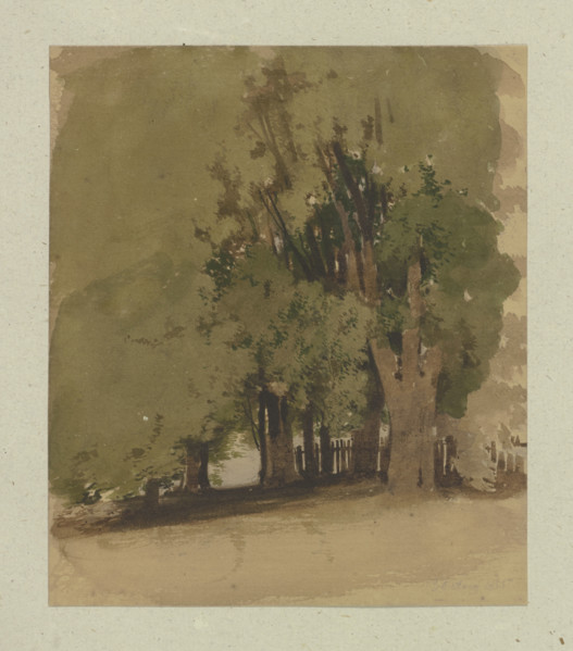 Old trees at a fence, 1855. Creator: Carl Theodor Reiffenstein.