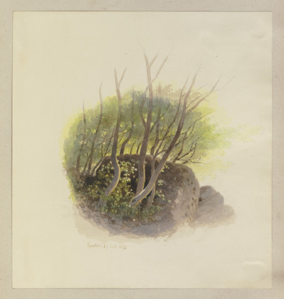 Piece of a forest with a rock, 1892. Creator: Carl Theodor Reiffenstein.