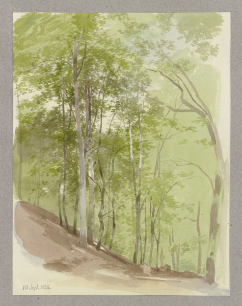 Wooded slope, a wild boar in the middle ground, 1856. Creator: Carl Theodor Reiffenstein.