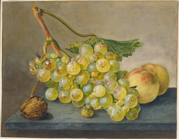 Still Life with Bunch of Grapes, Walnut and Peaches,  c1765-1800. Creator: Wybrand Hendriks.