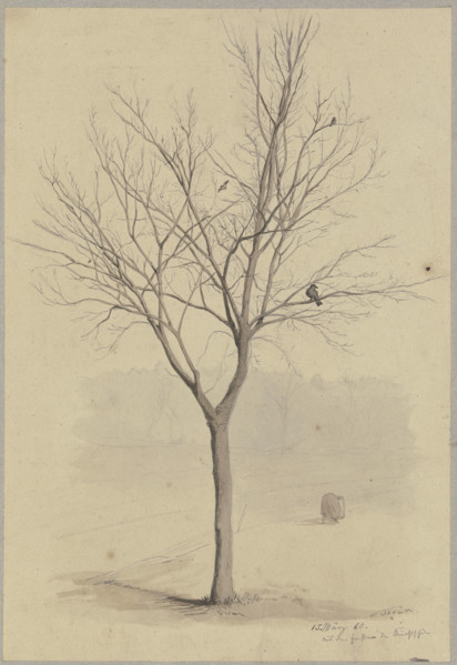 Leafless tree with birds, 1860. Creator: Hans Thoma.