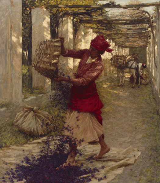 Violets for Perfume, c1913. Creator: Henry Herbert la Thangue.