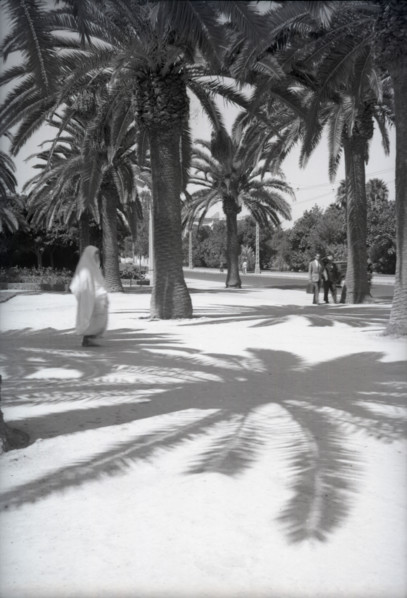Parc Lyautey, Casablanca, Morocco, c1955. Creator: Arthur Charles Kirby Ware.