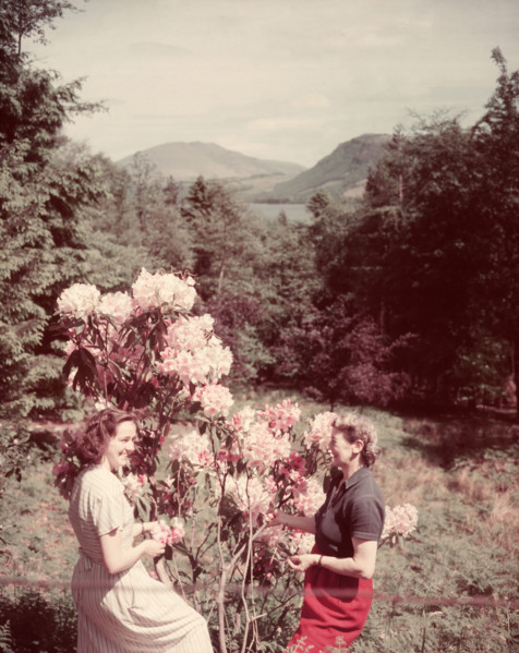 Women with rhododendrons, Derwentwater, Lake District, c1955. Creator: Arthur Charles Kirby Ware.