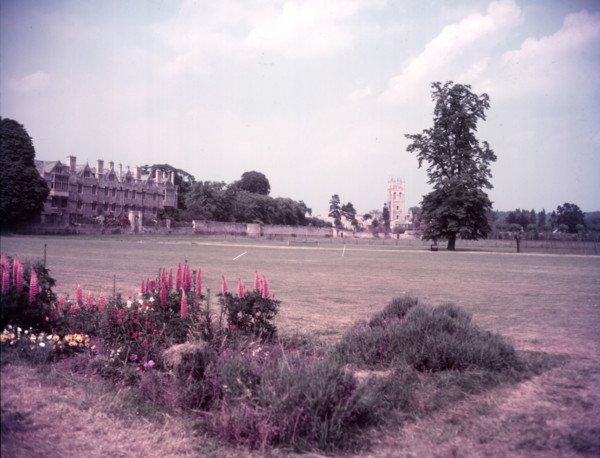 Merton College and chapel from Christchurch Meadows, Oxford, c1955.   Creator: Arthur Charles Kirby Ware.