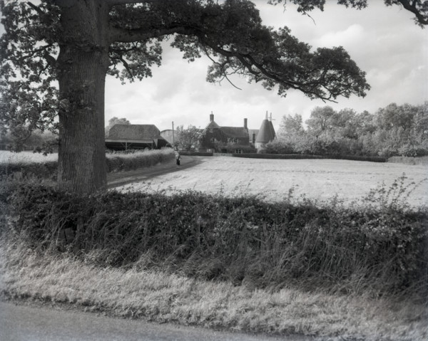 Oast houses near Goudhurst, Kent, c1955. Creator: Arthur Charles Kirby Ware.