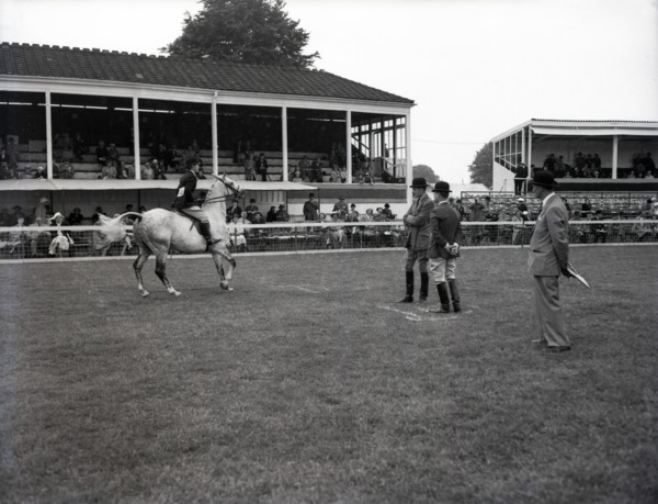Richmond Horse Show, Surrey, c1955. Creator: Arthur Charles Kirby Ware.