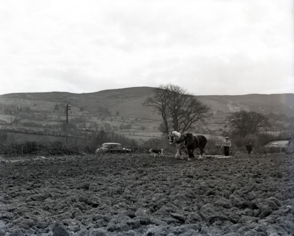 Ploughing, Wales, c1955. Creator: Arthur Charles Kirby Ware.