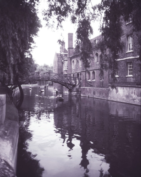 Punting on 'The Backs' at Cambridge, c1955. Creator: Arthur Charles Kirby Ware.