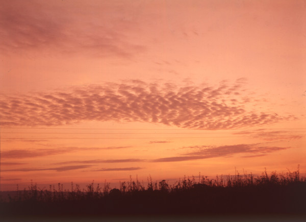 Sunset near Tonbridge, c1955. Creator: Arthur Charles Kirby Ware.