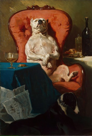 Pug Dog in an Armchair, 1857. Creator: Alfred Dedreux.