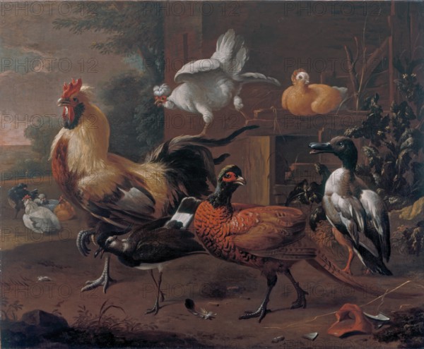 Poultry-yard, 1650. Creator: Melchior d'Hondecoeter.