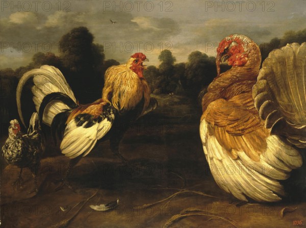 Fight of a Rooster and a Turkey Cock, 1650. Creator: Frans Snyders.