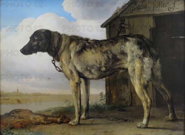 Wolf-Hound, 1650. Creator: Paulus Potter.