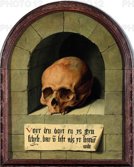 Skull in a Niche, 1550. Creator: Bartholomaeus Bruyn the Elder.