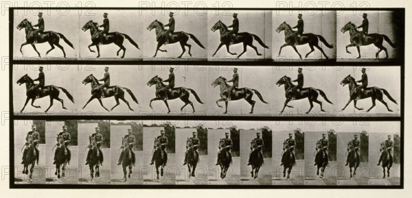 Racking (pacing), 1872-1885.  Creator: Eadweard J Muybridge.