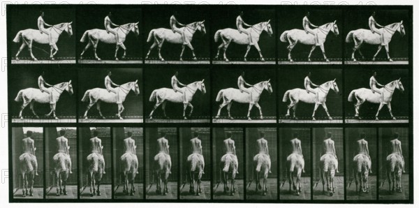 Walking, 1872-1885.  Creator: Eadweard J Muybridge.