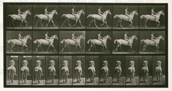 Trotting, 1872-1885.  Creator: Eadweard J Muybridge.