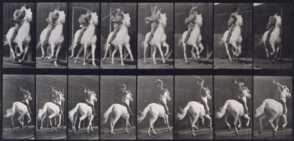 Gallop, 1872-1885. Creator: Eadweard J Muybridge.