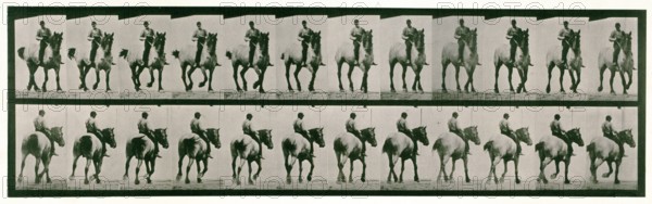 Trotting, bareback, 1872-1885.  Creator: Eadweard J Muybridge.