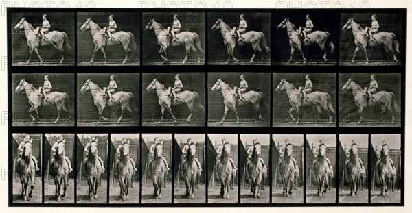 Walking, 1872-1885.  Creator: Eadweard J Muybridge.