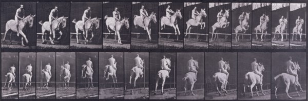 Jumping a hurdle, 1872-1885.  Creator: Eadweard J Muybridge.
