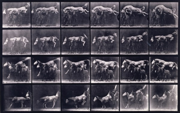 Jumping over three horses, 1872-1885.  Creator: Eadweard J Muybridge.