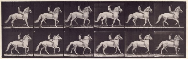 Ambling, (single foot), 1872-1885.  Creator: Eadweard J Muybridge.