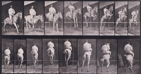 Jumping a hurdle, 1872-1885.  Creator: Eadweard J Muybridge.