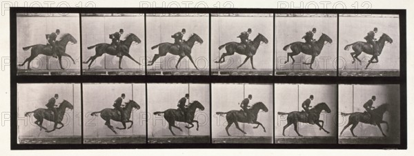 Gallop, 1872-1885.  Creator: Eadweard J Muybridge.