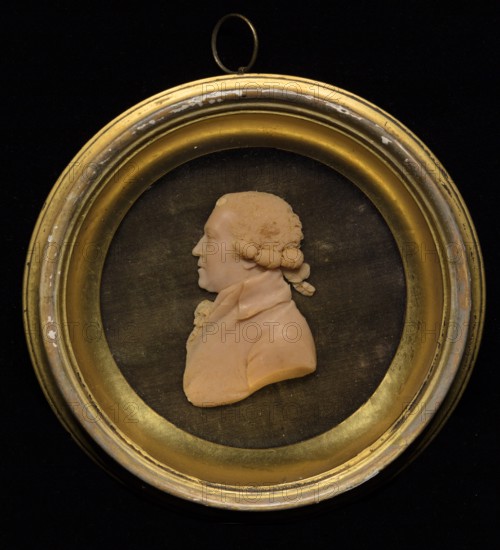 Wax medallion portrait of Sir Joshua Reynolds PRA. Creator: Unknown.