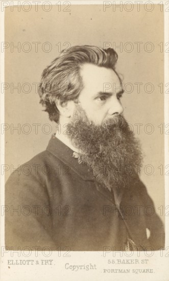 Thos. Woolner, c1865. Creator: Elliott & Fry.