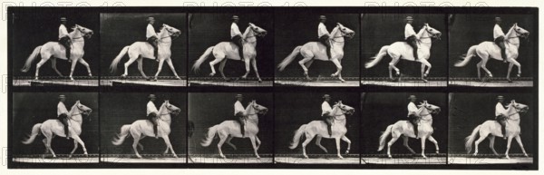 Ambling, (single foot), 1872-1885.  Creator: Eadweard J Muybridge.