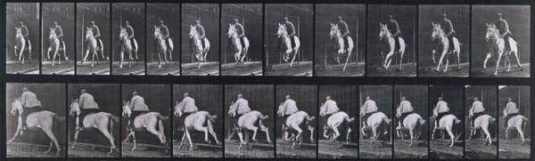 Gallop, 1872-1885.   Creator: Eadweard J Muybridge.