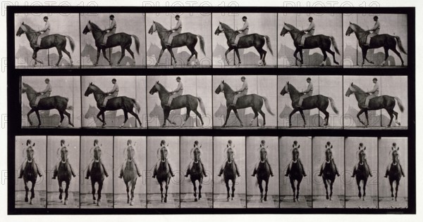Walking, 1872-1885.  Creator: Eadweard J Muybridge.