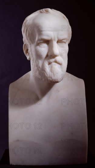 Bust of Henry Weekes, R.A., 1872. Creator: Charles Summers.