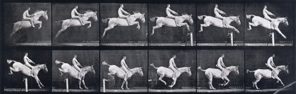 Jumping a hurdle , 1872-1885.   Creator: Eadweard J Muybridge.