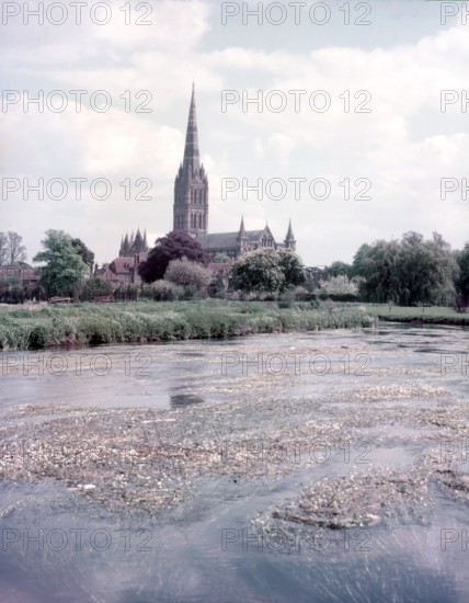The Cathedral, Salisbury, Wiltshire, c1955. Creator: Arthur Charles Kirby Ware.
