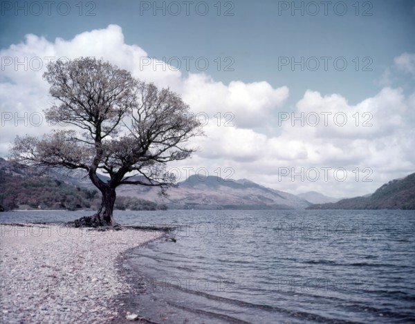 Loch Lomond and Ben Lomond, Scotland, c1955. Creator: Arthur Charles Kirby Ware.