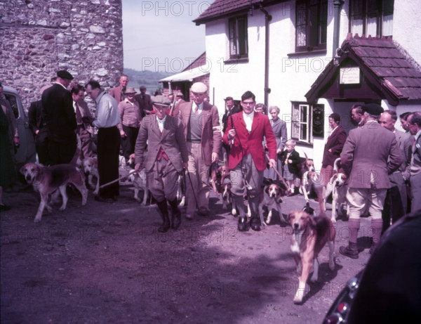 Hunting, Hawley, Somerset, c1955.  Creator: Arthur Charles Kirby Ware.