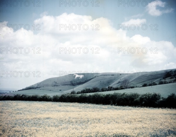 The White Horse at Westbury, Wiltshire, c1955. Creator: Arthur Charles Kirby Ware.