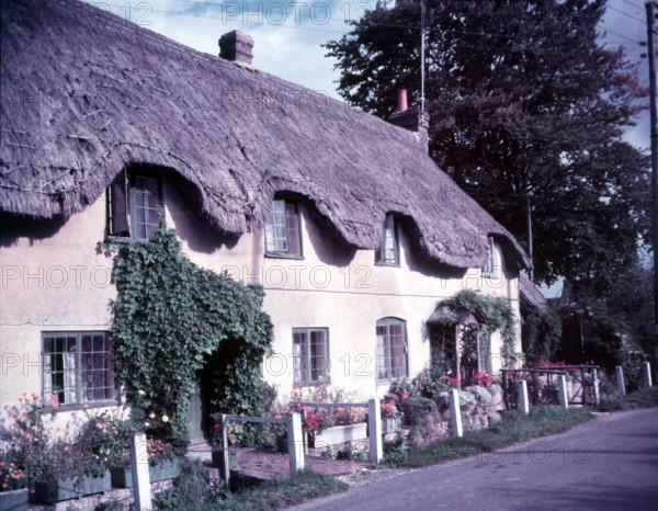Row of thatched cottages at Lower Whatcombe, Dorset, c1955. Creator: Arthur Charles Kirby Ware.